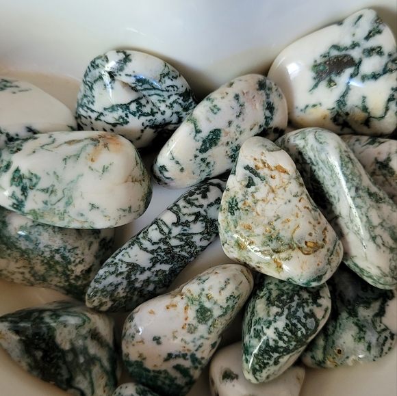 🍒 5 for $11 TREE AGATE crystal tumbled stone - Picture 2 of 6